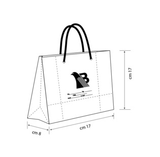Borsa Nicosia carta goffrata plastificata lucida personalizzata cm 17 x 17 + 8 maniglia corda in tinta