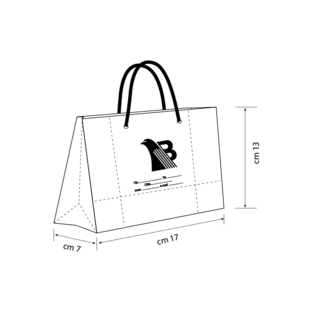 Borsa Elba carta opaca stampa a caldo da 1 lato cm 17 x 13 + 8 con corda in tinta 