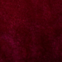 INTERNO SCAMOSCIATO BORDO'